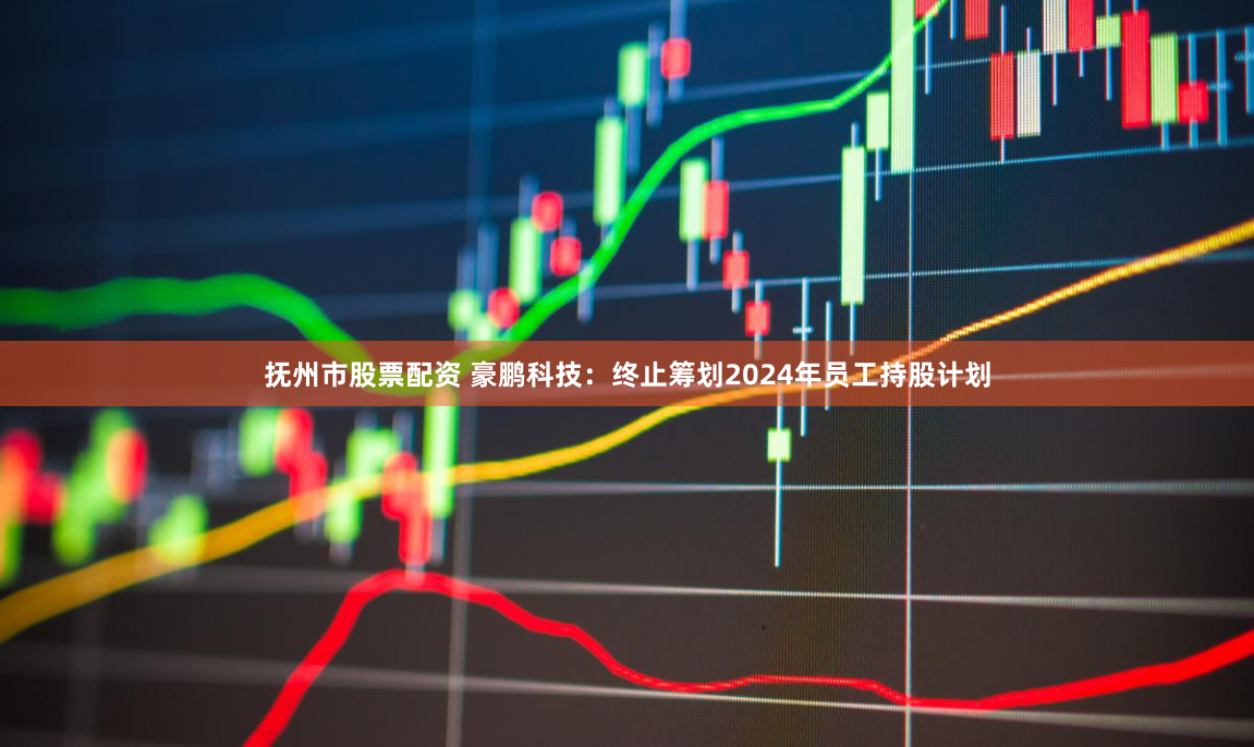 抚州市股票配资 豪鹏科技：终止筹划2024年员工持股计划