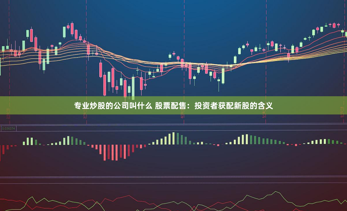 专业炒股的公司叫什么 股票配售：投资者获配新股的含义